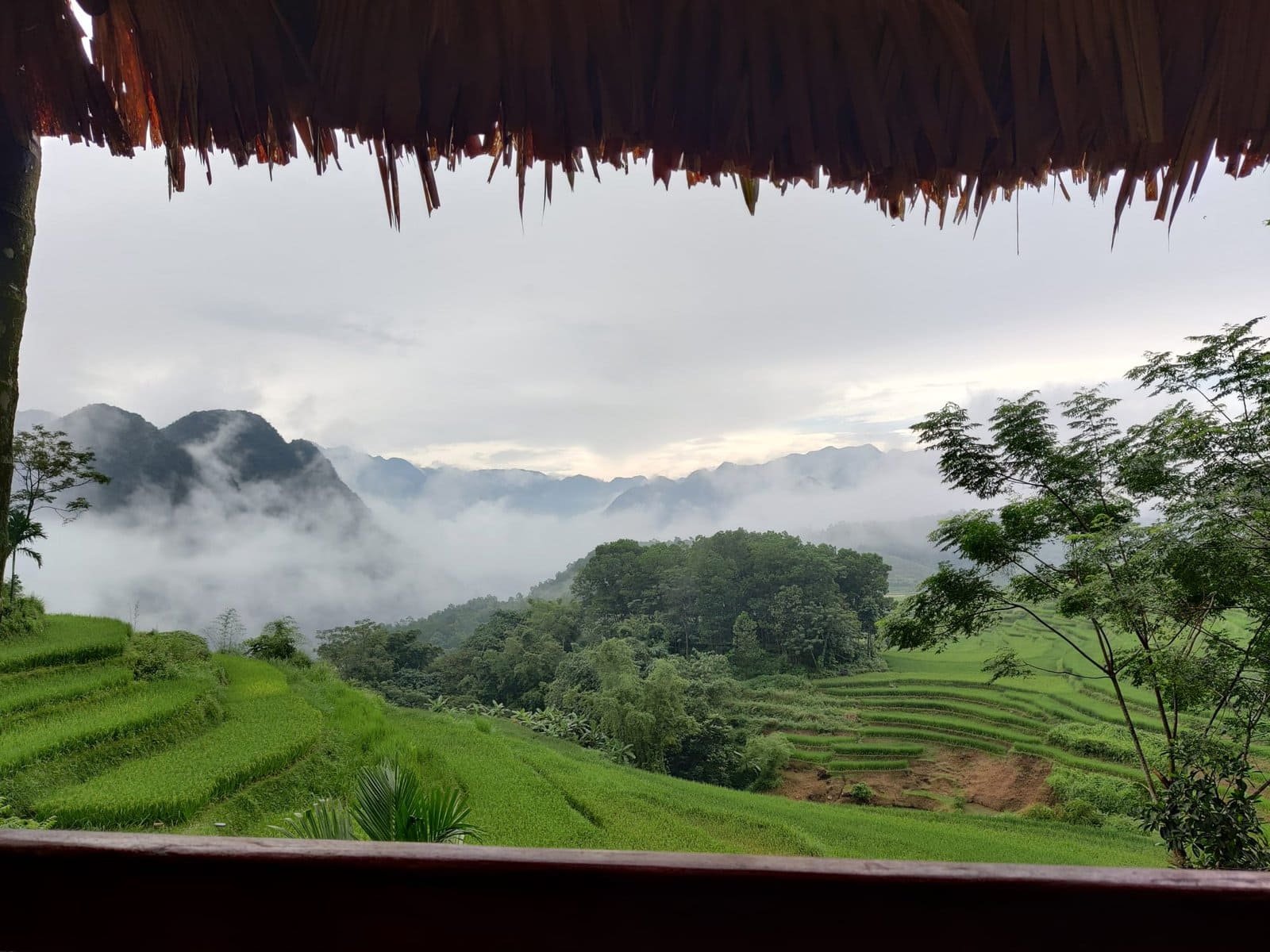 BlaBlaNoi - Photo des rizières de Pu Luong au Vietnam